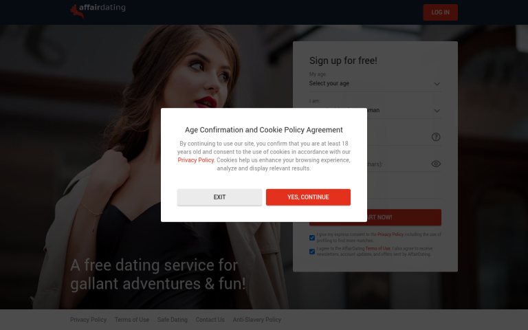 affairdating.com Reviews & Reviews Website Screenshot
