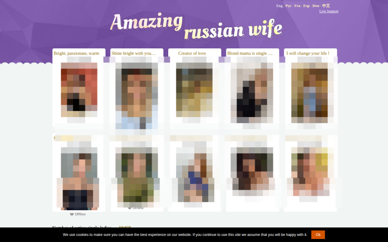 amazing-russian-wife.com Reviews & Reviews Website Screenshot