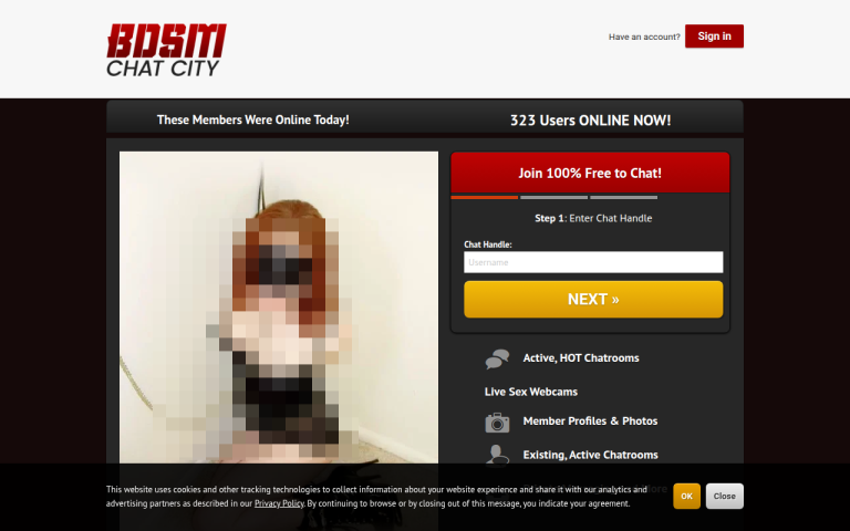 bdsmchatcity.com Reviews & Reviews Website Screenshot