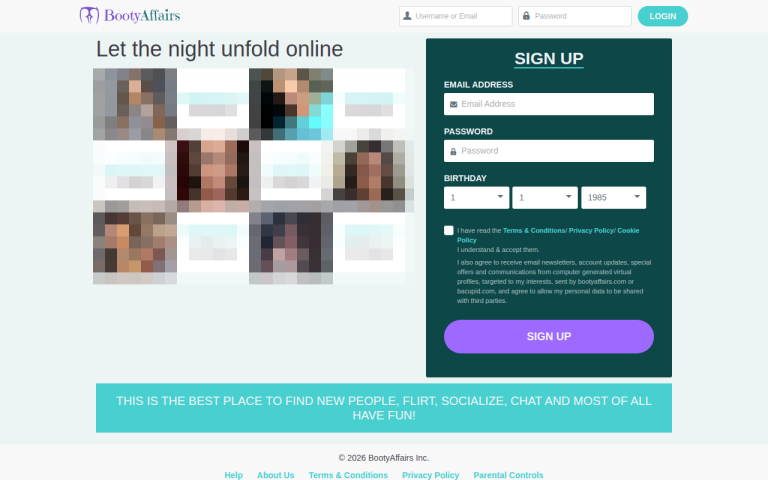 bootyaffairs.com Reviews & Reviews Website Screenshot