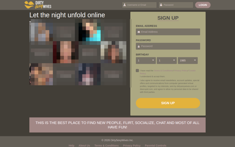 dirtysexywives.com Reviews & Reviews Website Screenshot
