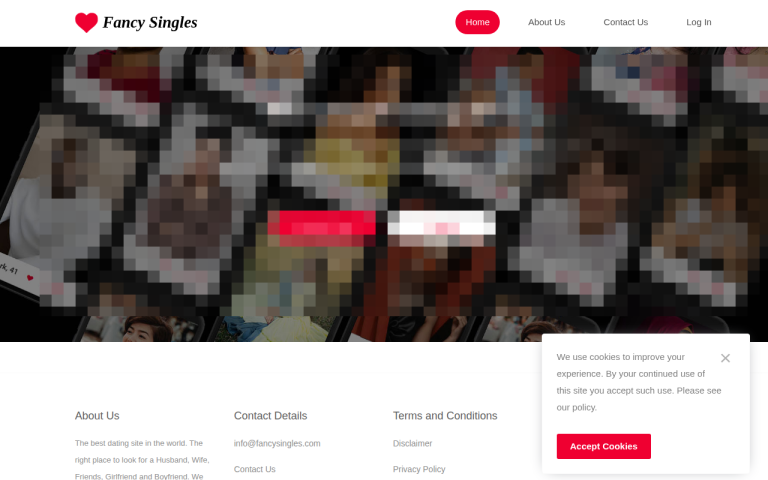 fancysingles.com Reviews & Reviews Website Screenshot