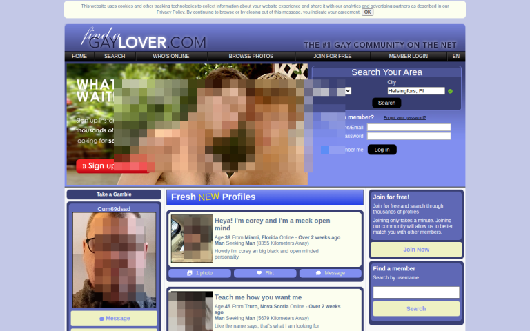 findagaylover.com Reviews & Reviews Website Screenshot