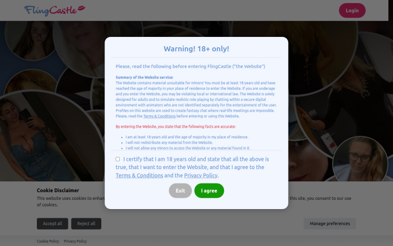 flingcastle.com Reviews & Reviews Website Screenshot