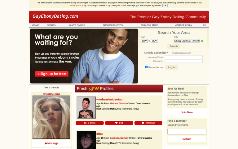 gayebonydating.com Reviews & Reviews Website Screenshot