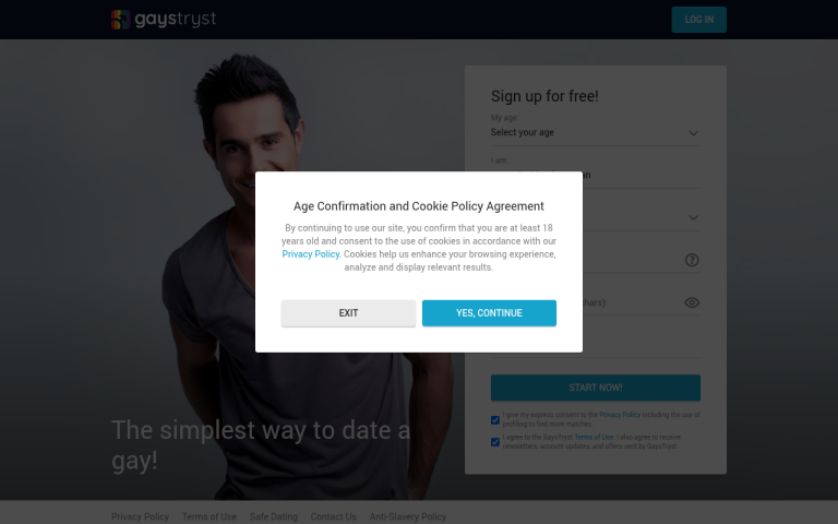 gaystryst.com Reviews & Reviews Website Screenshot