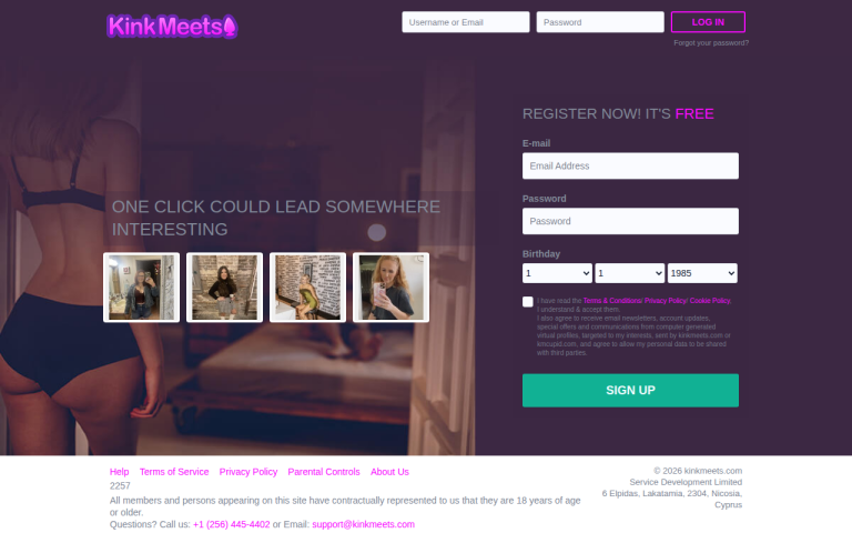 kinkmeets.com Reviews & Reviews Website Screenshot