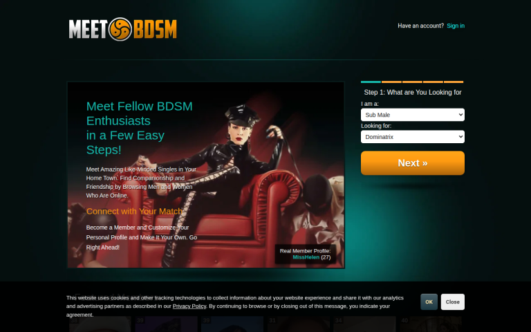 meetbdsm.com Reviews & Reviews Website Screenshot
