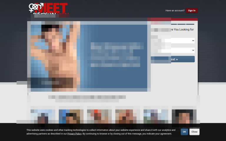meetbisexualmen.com Reviews & Reviews Website Screenshot