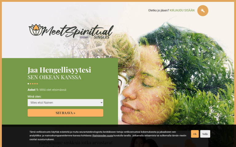 meetspiritualsingles.com Reviews & Reviews Website Screenshot