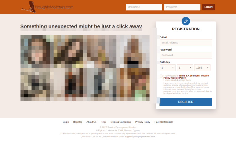 naughtymatches.com Reviews & Reviews Website Screenshot