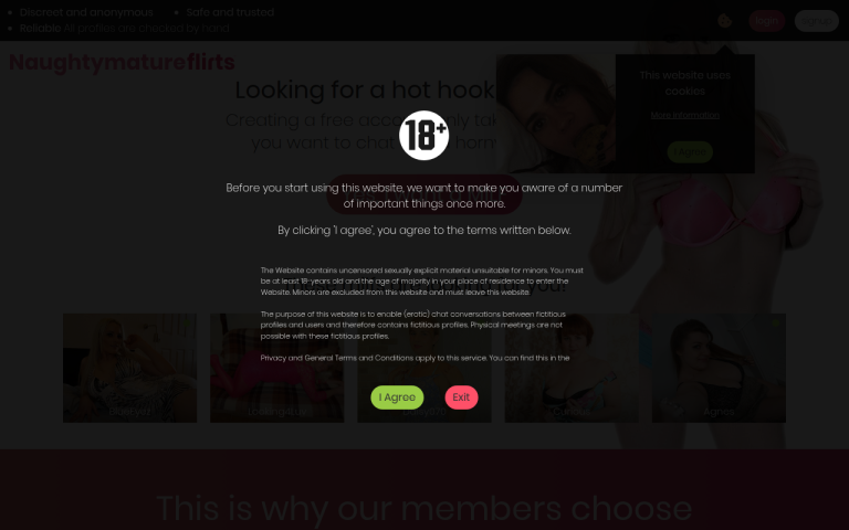 naughtymatureflirts.com Reviews & Reviews Website Screenshot