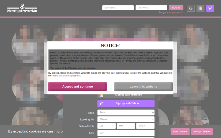 nearbyattraction.com Reviews & Reviews Website Screenshot