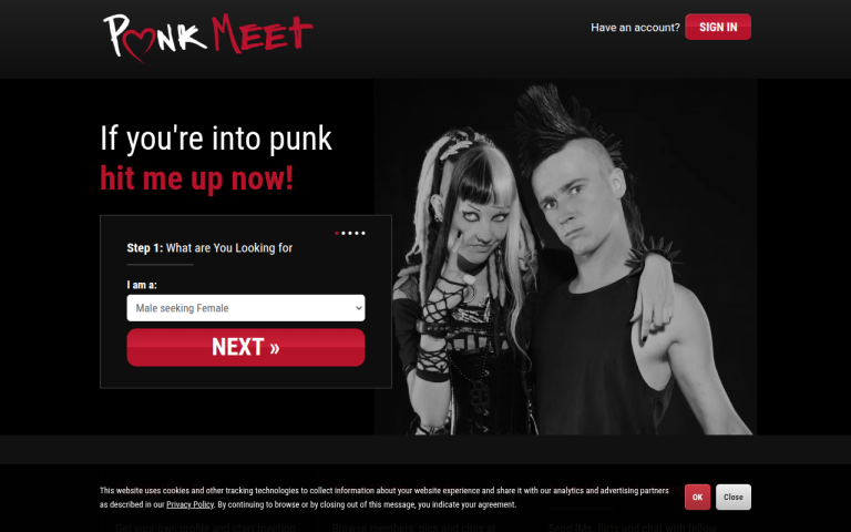 punkmeet.com Reviews & Reviews Website Screenshot