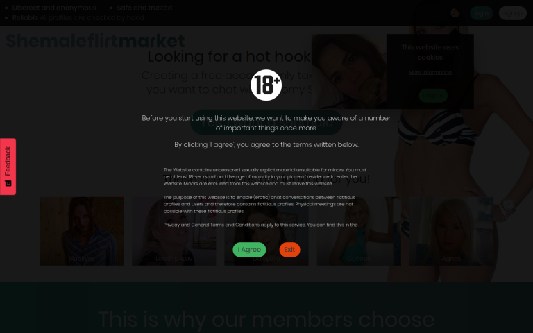 shemaleflirtmarket.com Reviews & Reviews Website Screenshot