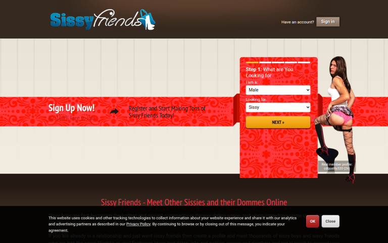 sissyfriends.com Reviews & Reviews Website Screenshot