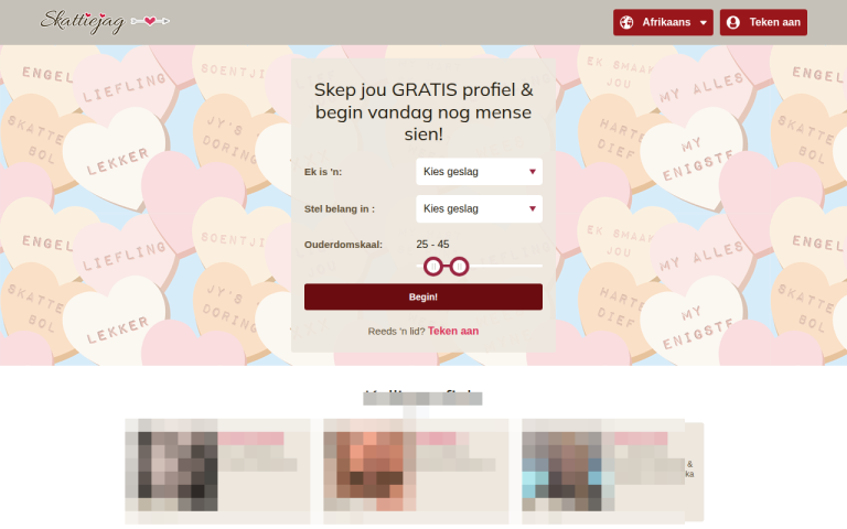 skattiejag.com Reviews & Reviews Website Screenshot