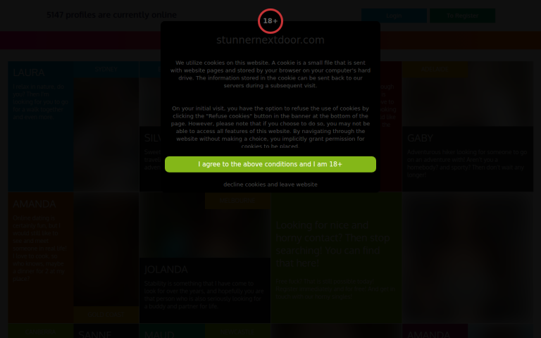 stunnernextdoor.com Reviews & Reviews Website Screenshot