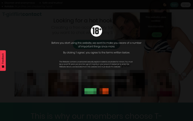 t-girlflirtcontact.com Reviews & Reviews Website Screenshot