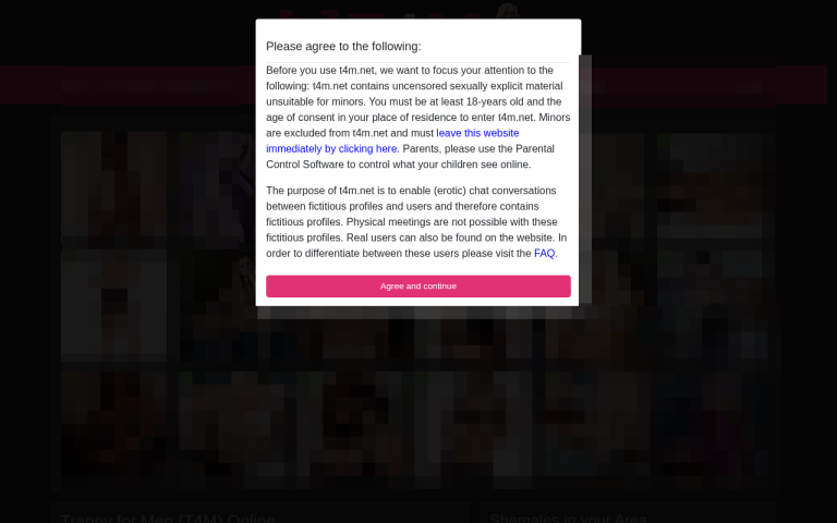 t4m.net Reviews & Reviews Website Screenshot