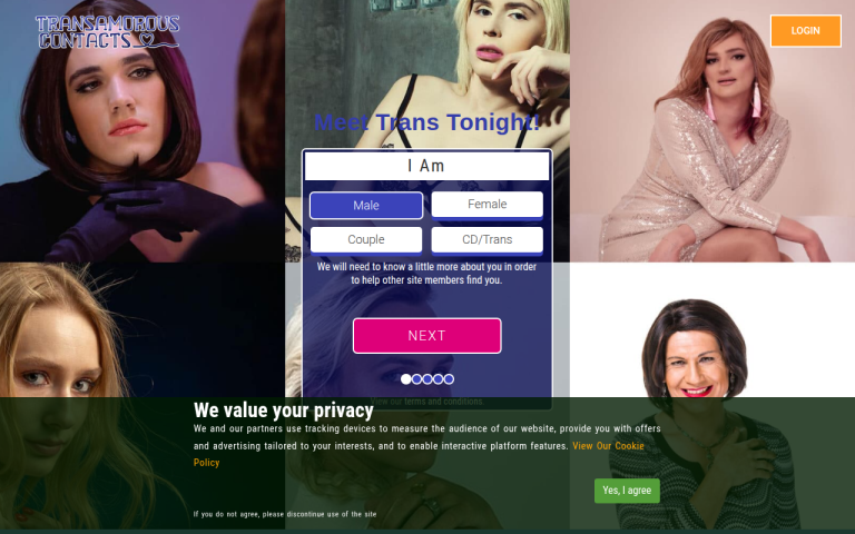 transamorouscontacts.com Reviews & Reviews Website Screenshot