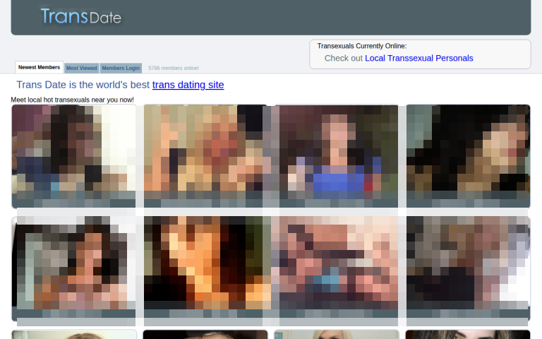 transdate.com Reviews & Reviews Website Screenshot