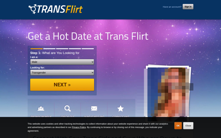 transflirt.com Reviews & Reviews Website Screenshot