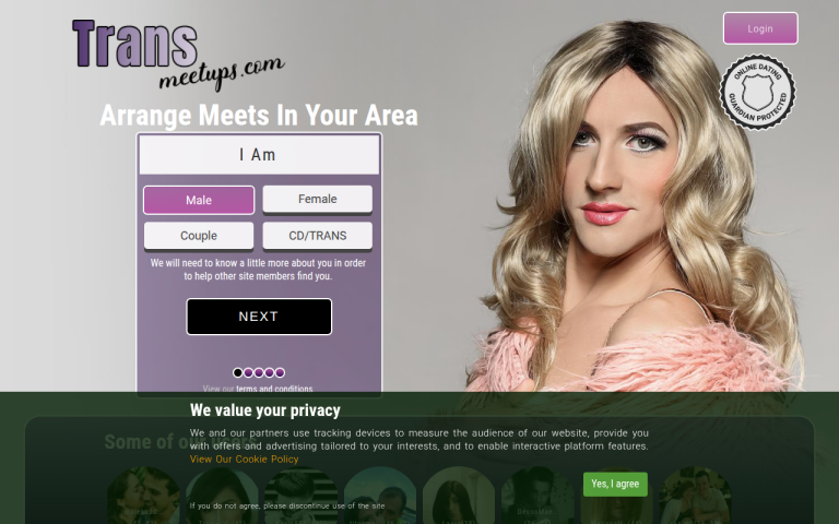 transmeetups.com Reviews & Reviews Website Screenshot