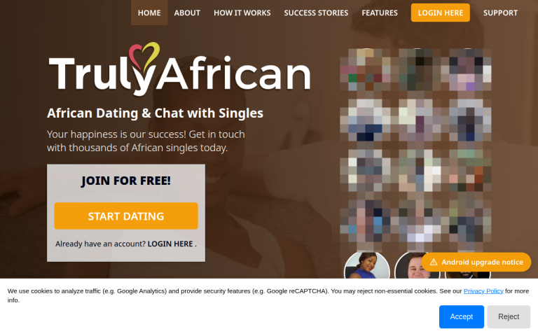 trulyafrican.com Reviews & Reviews Website Screenshot